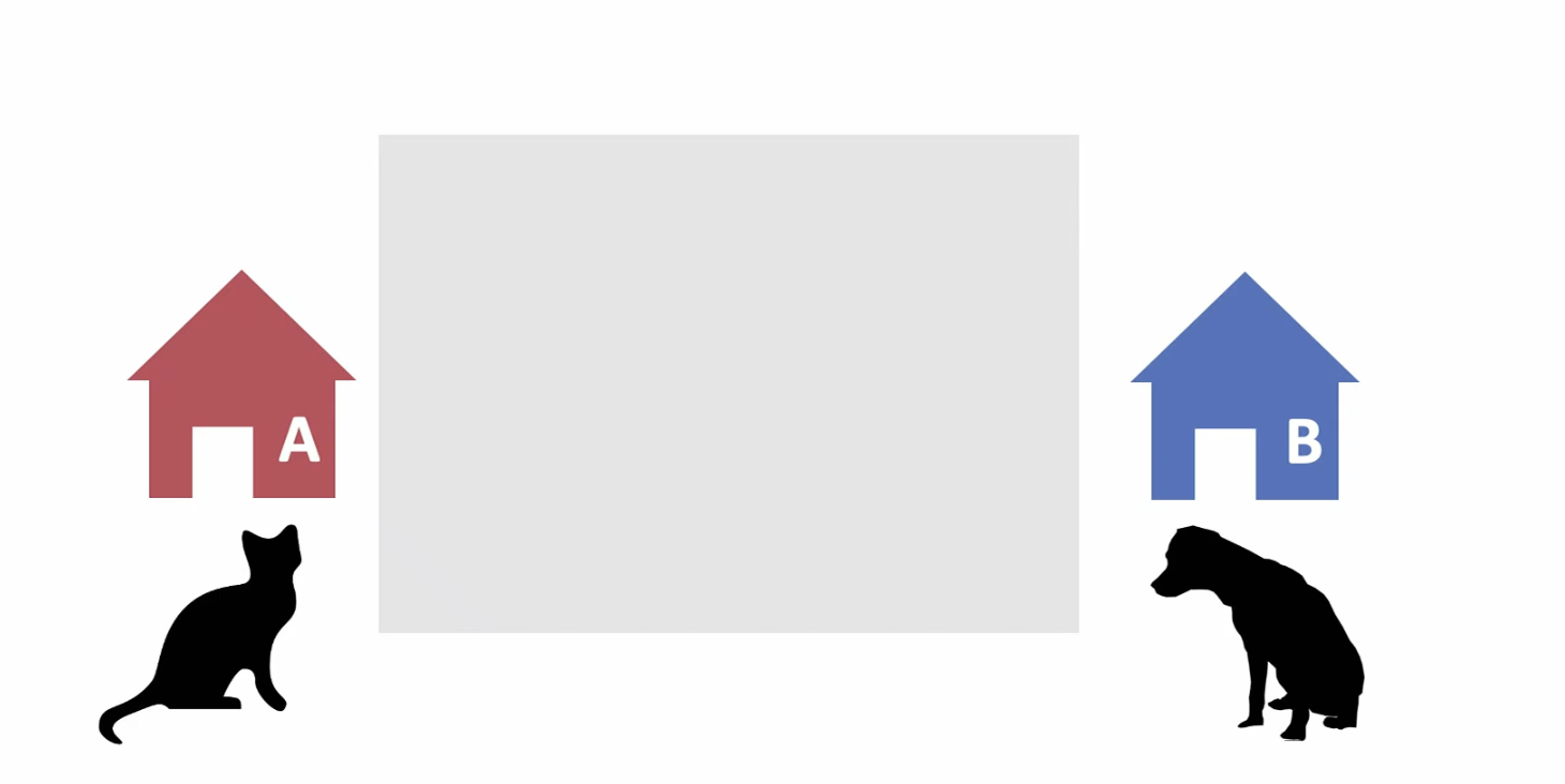 Alice the cat and Bob the dog